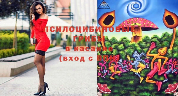 бошки Елизово