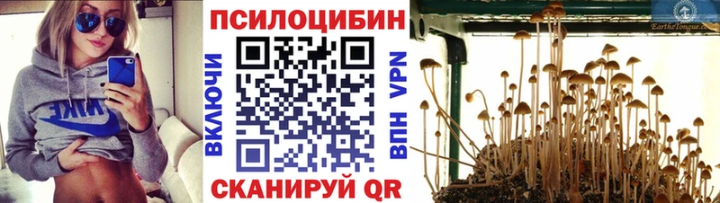 Галлюциногенные грибы GOLDEN TEACHER  где купить наркоту  OMG tor  Лиски 