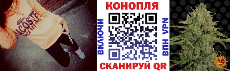 где найти наркотики  Лиски  Конопля THC 21% 